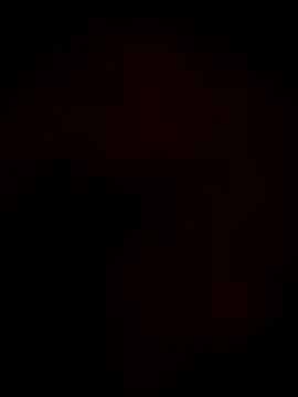 noty girl2 online show from 16, 2, 2026