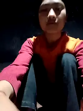 Hoa-tuylip online show from 2, 3, 2026