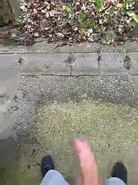 FrankdieSchwuchtel online show from 11, 3, 2026