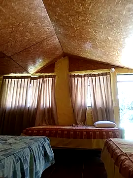 serranoandre online show from 3, 3, 2026