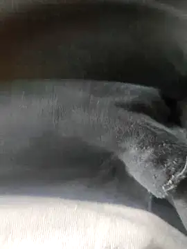 3D-telugu online show from 19, 3, 2026