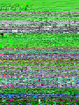 Snapshot of AsynaYuuki chatting on 5, 3, 2026 AsynaYuuki online show from 5, 3, 2026