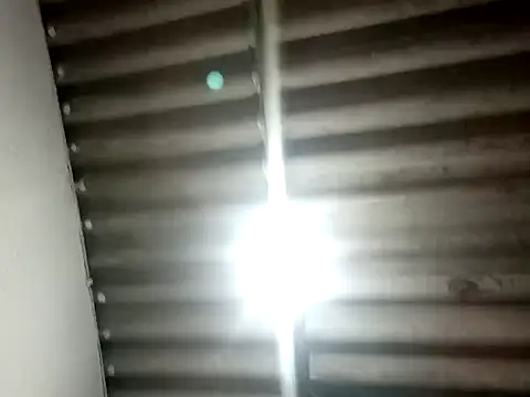 Cati cat3 online show from 24, 3, 2026