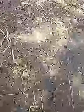 Snapshot of Cute_Boy_4 chatting on 14, 3, 2026 Cute Boy 4 online show from 14, 3, 2026