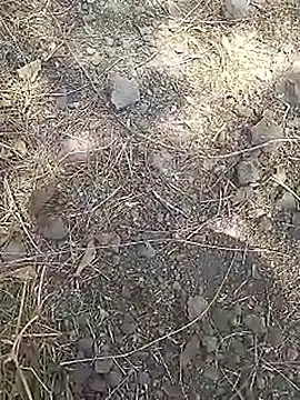 Snapshot of Cute_Boy_4 chatting on 15, 3, 2026 Cute Boy 4 online show from 15, 3, 2026