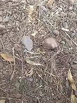 Snapshot of Cute_Boy_4 chatting on 19, 3, 2026 Cute Boy 4 online show from 19, 3, 2026