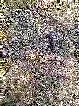 Cute Boy 4 online show from 29, 4, 2026