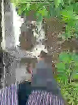 Cute Boy 4 online show from 16, 7, 2026
