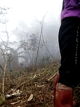 Snapshot of Tina-beo chatting on 21, 3, 2026 Tina-beo online show from 21, 3, 2026