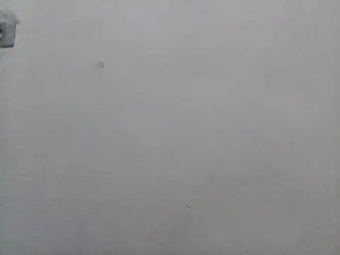 lorraine2036 online show from 7, 2, 2026