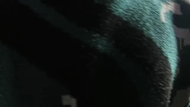 Christopher Hunter online show from 22, 3, 2026