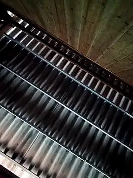 quynhbupbe11 online show from 9, 3, 2026