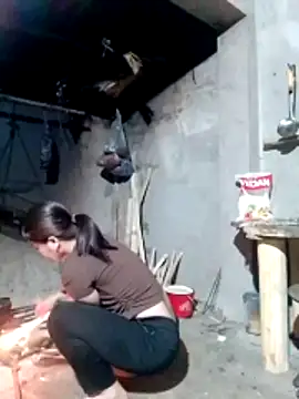 maimai1100 online show from 21, 3, 2026