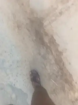 Rajustt online show from 24, 3, 2026