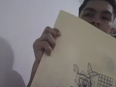 placerverdadero online show from 11, 2, 2026