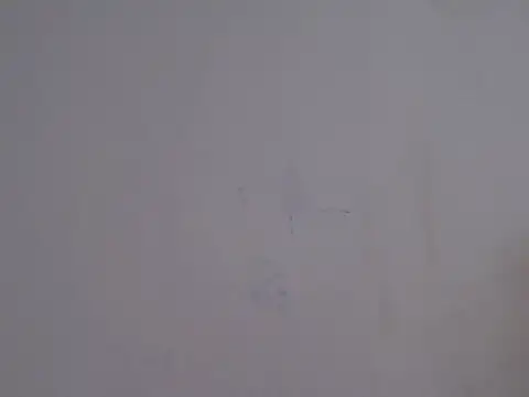 placerverdadero online show from 15, 2, 2026