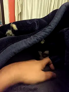 rubitrides11 online show from 11, 2, 2026