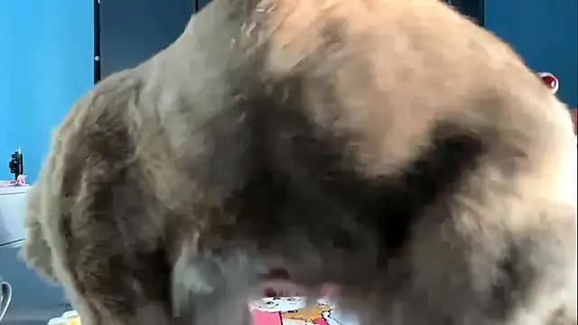 Snapshot of AndreeMerryman chatting on 5, 2, 2026 AndreeMerryman online show from 5, 2, 2026