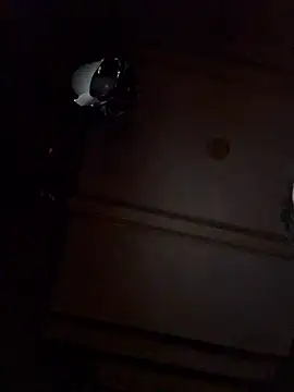 Dutch20Cock online show from 12, 3, 2026