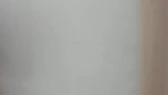 Lucia velez online show from 25, 3, 2026