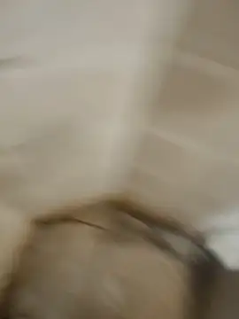 Gordinho dos pes online show from 7, 4, 2026