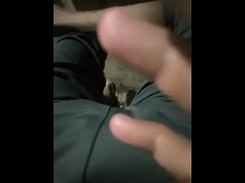 hotboy pune1 online show from 9, 2, 2026