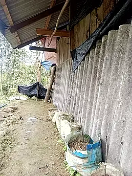 Anna 516 online show from 10, 3, 2026