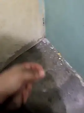 tortolito201 online show from 8, 2, 2026