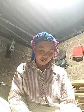 lena-cute online show from 2, 5, 2026