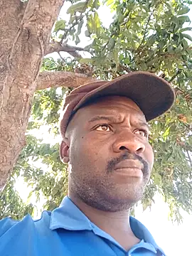 Sbuda3159 online show from 11, 2, 2026