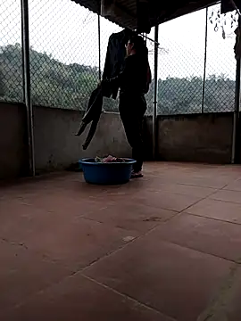 Snapshot of LiilyZi chatting on 5, 3, 2026 LiilyZi online show from 5, 3, 2026