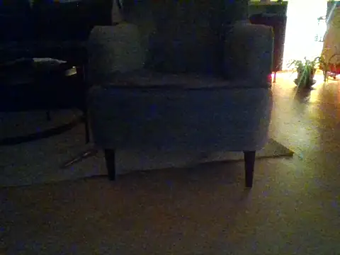 Snapshot of Tommyzzzzzz chatting on 20, 2, 2026 Tommyzzzzzz online show from 20, 2, 2026