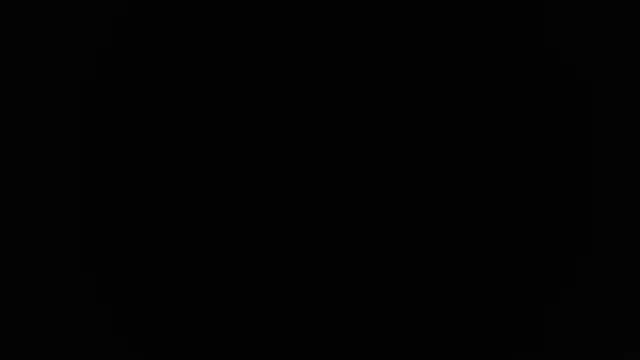 Amelia Bjork online show from 3, 3, 2026