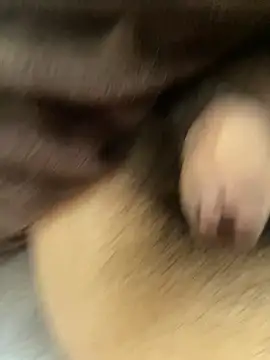 oyuto0831 online show from 3, 4, 2026