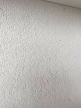 maitegostosa online show from 7, 3, 2026