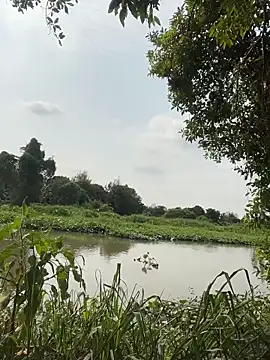 Lewd couple online show from 20, 4, 2026