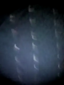 Snapshot of BIG_QWEEN_NO1 chatting on 12, 3, 2026 BIG QWEEN NO1 online show from 12, 3, 2026