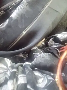 Snapshot of SexybeboX chatting on 19, 3, 2026 SexybeboX online show from 19, 3, 2026