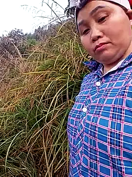 sigmasia online show from 2, 3, 2026