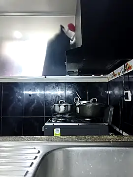 Mia collinx online show from 4, 5, 2026