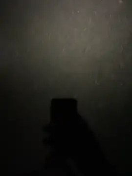 Snapshot of stallone_italiano_62 chatting on 11, 2, 2026 stallone italiano 62 online show from 11, 2, 2026