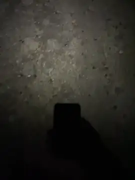 Snapshot of stallone_italiano_62 chatting on 17, 2, 2026 stallone italiano 62 online show from 17, 2, 2026