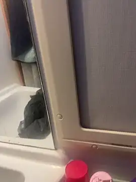 Snapshot of stallone_italiano_62 chatting on 26, 2, 2026 stallone italiano 62 online show from 26, 2, 2026