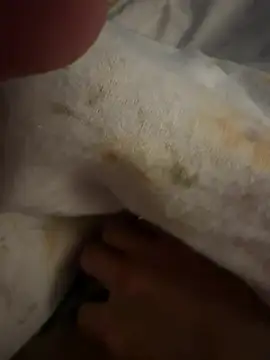 Snapshot of sbollando13 chatting on 8, 2, 2026 sbollando13 online show from 8, 2, 2026