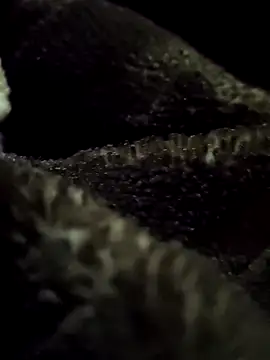 aryanvfit online show from 9, 2, 2026