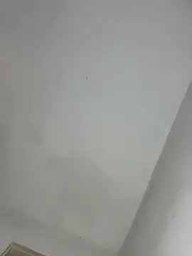 Babyfacenik online show from 8, 3, 2026