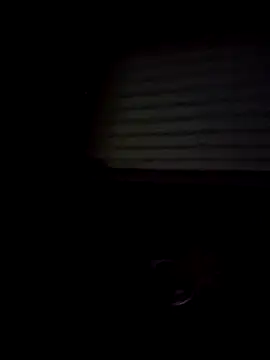 Snapshot of Shinlelove31 chatting on 15, 2, 2026 Shinlelove31 online show from 15, 2, 2026