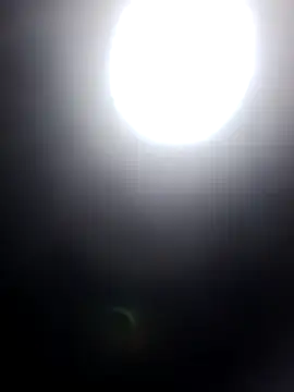 molly-xx online show from 6, 7, 2026
