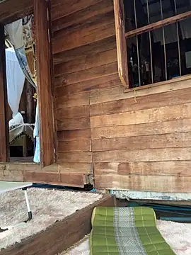 fairy bell online show from 5, 3, 2026