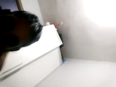 Snapshot of Baby_P chatting on 18, 3, 2026 Baby P online show from 18, 3, 2026